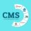 بررسی انواع cms
